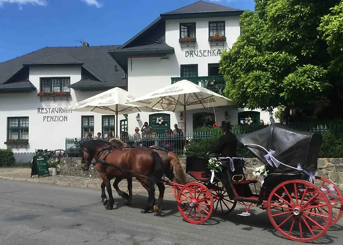 Brusenka Maison d'hôtes
