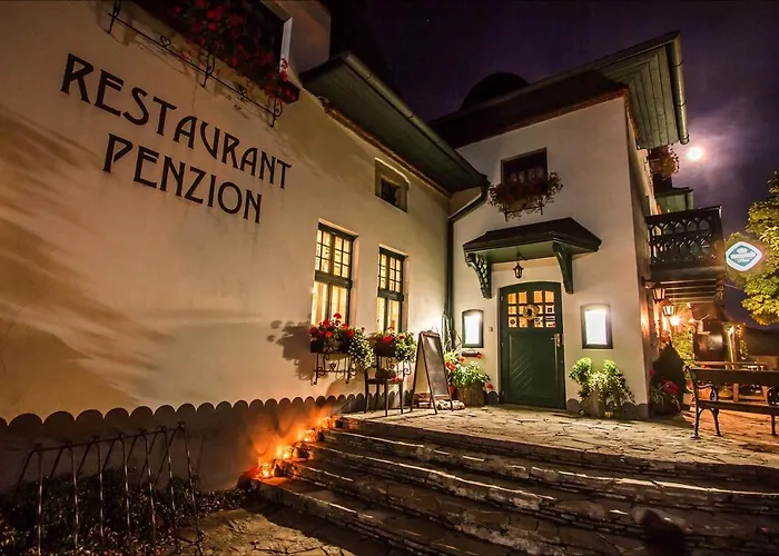 Penzion Brusenka 3*